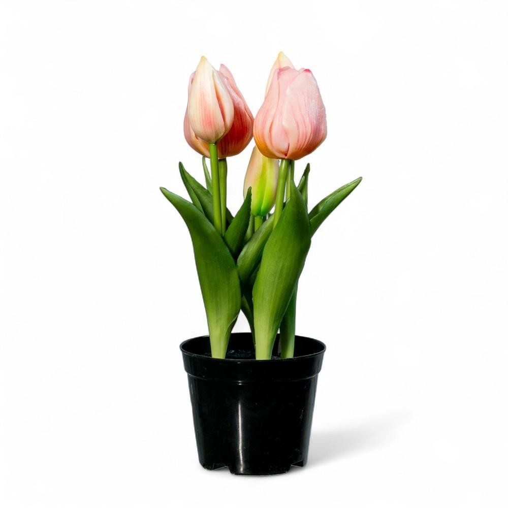 PIANTINA 5 TULIPANI REAL TOUCH H25 ROSA CHIARO